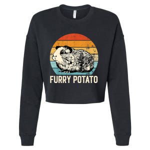 Funny Guinea Pig Lover Furry Potato Cavy Owner Guinea Pig Cropped Pullover Crew