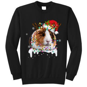 Funny Guinea Pig Reindeer Christmas Tree Light Guinea Pig Sweatshirt