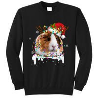 Funny Guinea Pig Reindeer Christmas Tree Light Guinea Pig Tall Sweatshirt