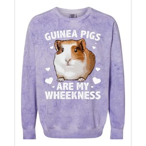 Funny Guinea Pig Design For Men Women Kids Guinea Pig Lovers Colorblast Crewneck Sweatshirt