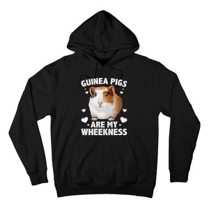 Funny Guinea Pig Design For Men Women Kids Guinea Pig Lovers Hoodie