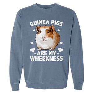 Funny Guinea Pig Design For Men Women Kids Guinea Pig Lovers Garment-Dyed Sweatshirt