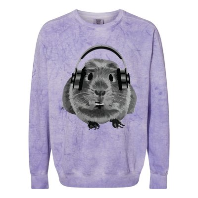 Fat Guinea Pig House Pet Animal For Animal Lovers Colorblast Crewneck Sweatshirt