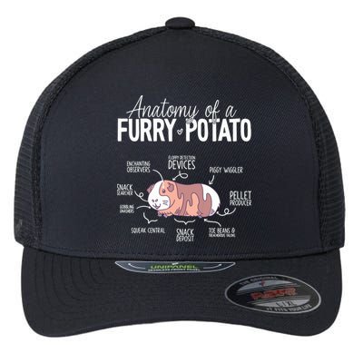 Funny Guinea Pig Guinea Pig Anatomy Guinea Pig Flexfit Unipanel Trucker Cap