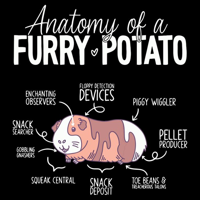 Funny Guinea Pig Guinea Pig Anatomy Guinea Pig City Backpack