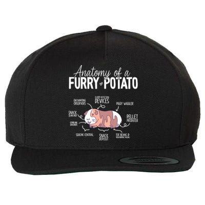 Funny Guinea Pig Guinea Pig Anatomy Guinea Pig Wool Snapback Cap
