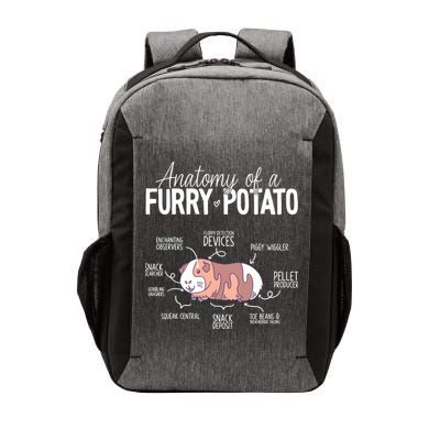 Funny Guinea Pig Guinea Pig Anatomy Guinea Pig Vector Backpack