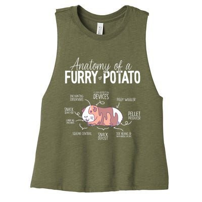 Funny Guinea Pig Guinea Pig Anatomy Guinea Pig Women's Racerback Cropped Tank