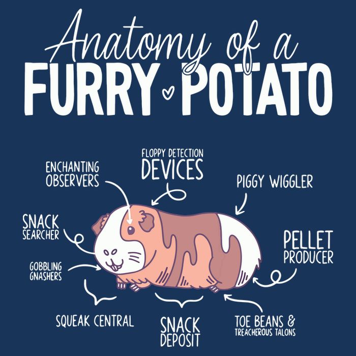 Funny Guinea Pig Guinea Pig Anatomy Guinea Pig Cooling Performance Crew T-Shirt