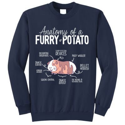 Funny Guinea Pig Guinea Pig Anatomy Guinea Pig Sweatshirt