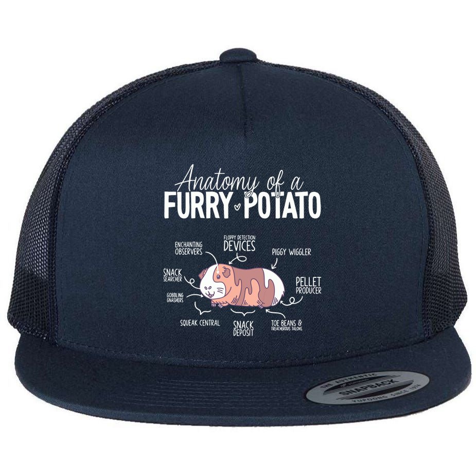 Funny Guinea Pig Guinea Pig Anatomy Guinea Pig Flat Bill Trucker Hat