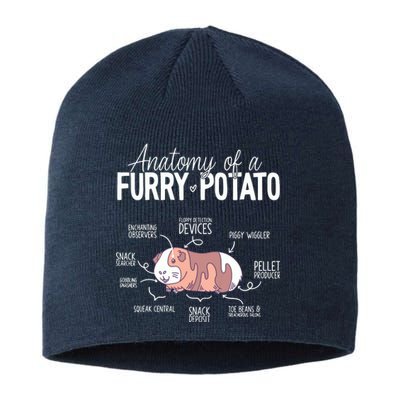 Funny Guinea Pig Guinea Pig Anatomy Guinea Pig Sustainable Beanie