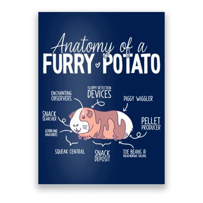 Funny Guinea Pig Guinea Pig Anatomy Guinea Pig Poster