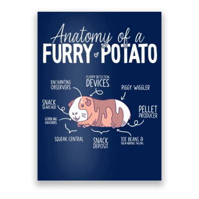 Funny Guinea Pig Guinea Pig Anatomy Guinea Pig Poster