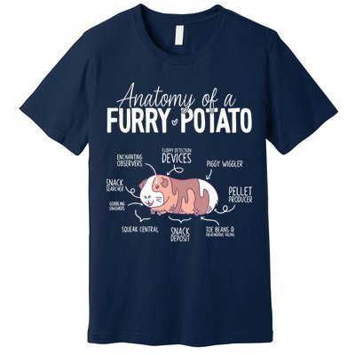 Funny Guinea Pig Guinea Pig Anatomy Guinea Pig Premium T-Shirt