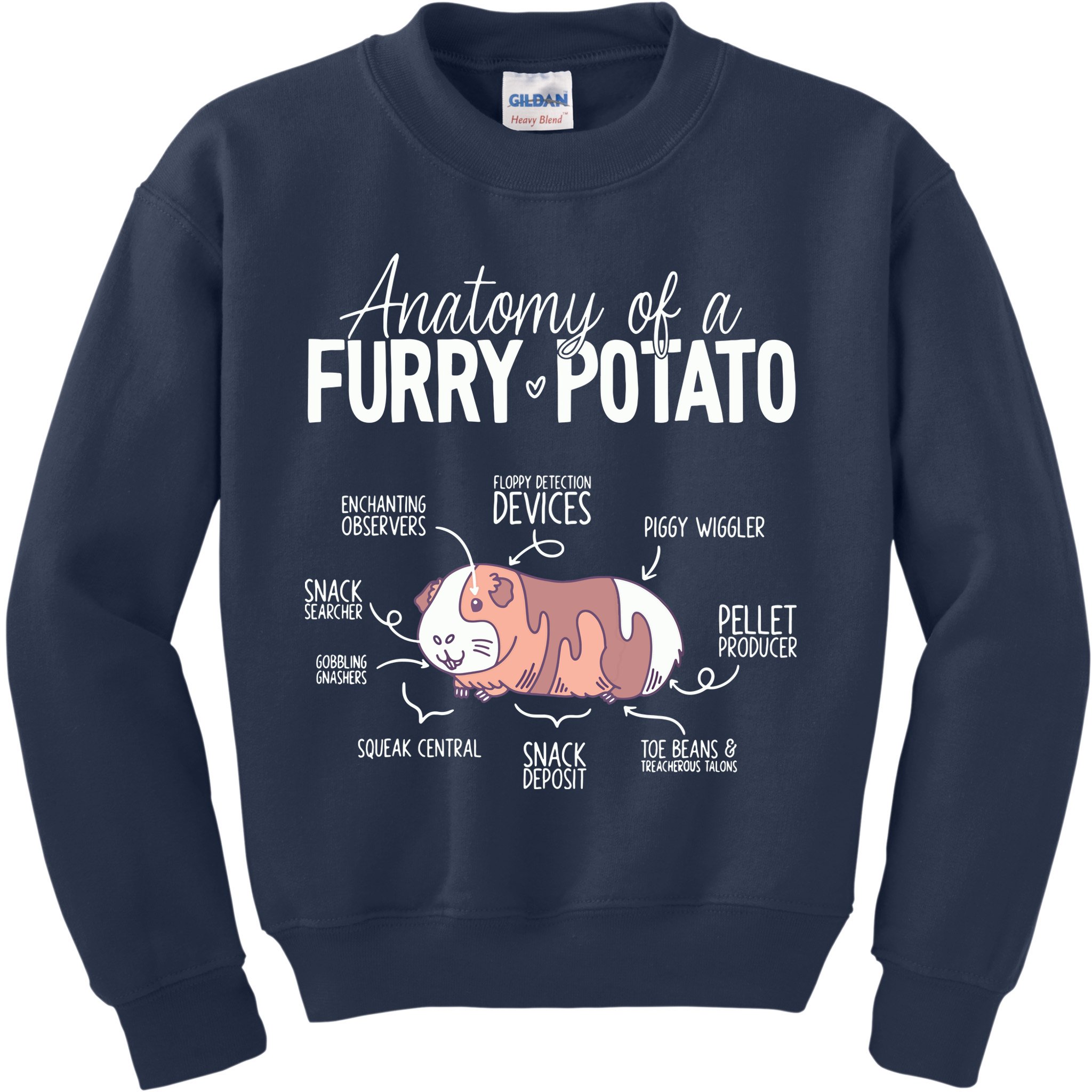 Funny Guinea Pig Guinea Pig Anatomy Guinea Pig Kids Sweatshirt