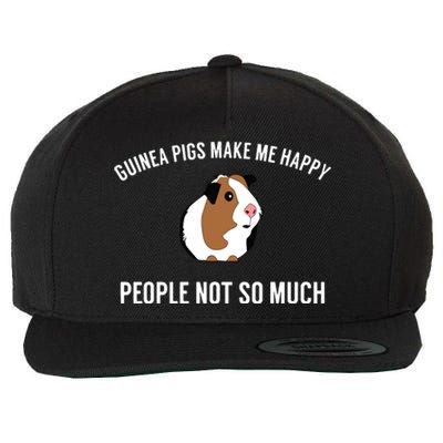 Funny Guinea Pig Gift Guinea Pig Tee Wool Snapback Cap