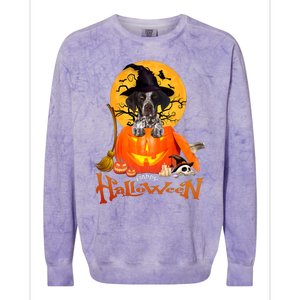 Funny GS Pointer Dog Spooky Halloween Colorblast Crewneck Sweatshirt