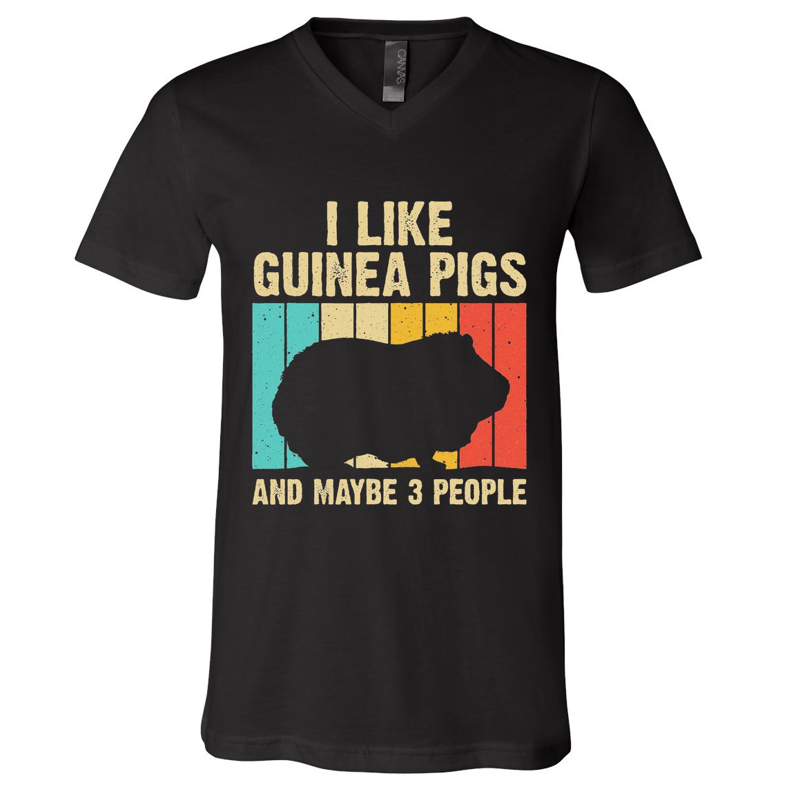 Funny Guinea Pig Design For Women Guinea Pig Lovers V-Neck T-Shirt