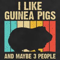 Funny Guinea Pig Design For Women Guinea Pig Lovers Adult Drive Performance Visor