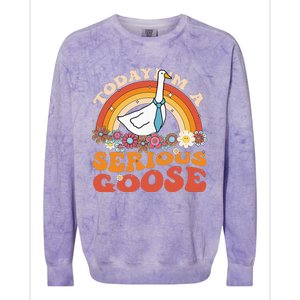 Funny Geese Quote Today IM A Serious Goose Women Cool Colorblast Crewneck Sweatshirt