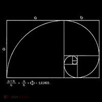Fibonacci Golden Ratio Drawstring Bag