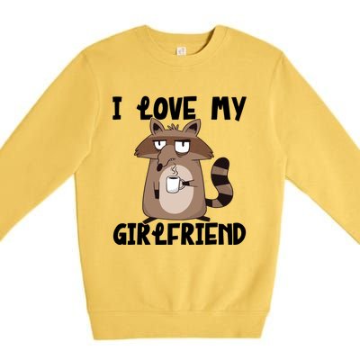 Funny Grumpy Raccoon Friend I Love My Friend Great Gift Premium Crewneck Sweatshirt