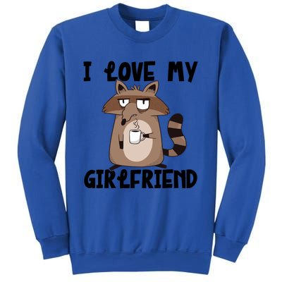 Funny Grumpy Raccoon Friend I Love My Friend Great Gift Sweatshirt