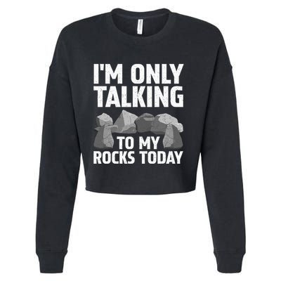 Funny Geology Rock Hound Art Rockhound Lover Cropped Pullover Crew