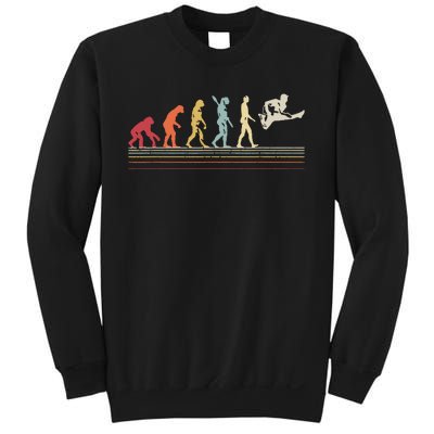 Funny Guitar Retro Vintage Evolution Of Man Sweatshirt