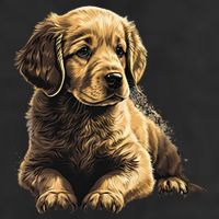 Funny Golden Retriever Puppy Puppies Adult Drive Performance Visor