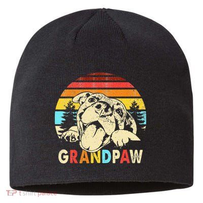 Funny Grandpaw Retro Vintage Pitbull Lovers Grandparents Day Sustainable Beanie