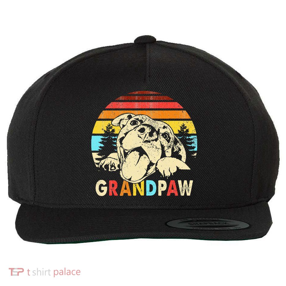 Funny Grandpaw Retro Vintage Pitbull Lovers Grandparents Day Wool Snapback Cap