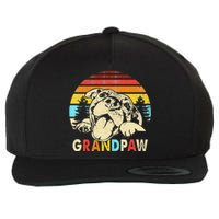 Funny Grandpaw Retro Vintage Pitbull Lovers Grandparents Day Wool Snapback Cap