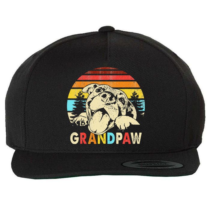 Funny Grandpaw Retro Vintage Pitbull Lovers Grandparents Day Wool Snapback Cap