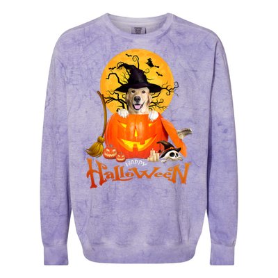 Funny Golden Retriever Dog Spooky Halloween Colorblast Crewneck Sweatshirt