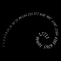Fibonacci Golden Ratio Spiral Design For Geometry Lovers 16 in Basic Backpack