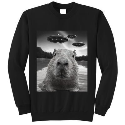 Funny Graphiccapybara Selfie With Ufos Weird Sweatshirt