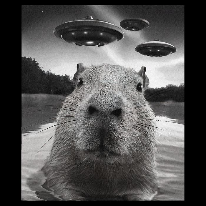 Funny Graphiccapybara Selfie With Ufos Weird Backpack