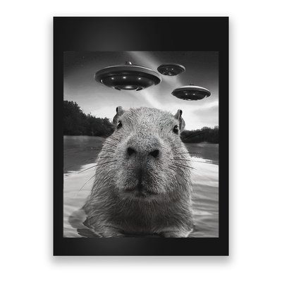 Funny Graphiccapybara Selfie With Ufos Weird Poster