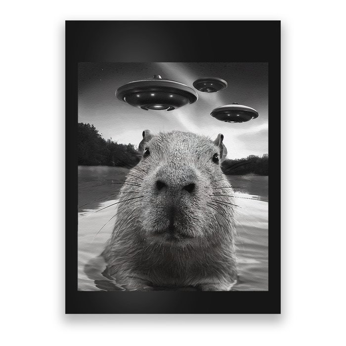 Funny Graphiccapybara Selfie With Ufos Weird Poster