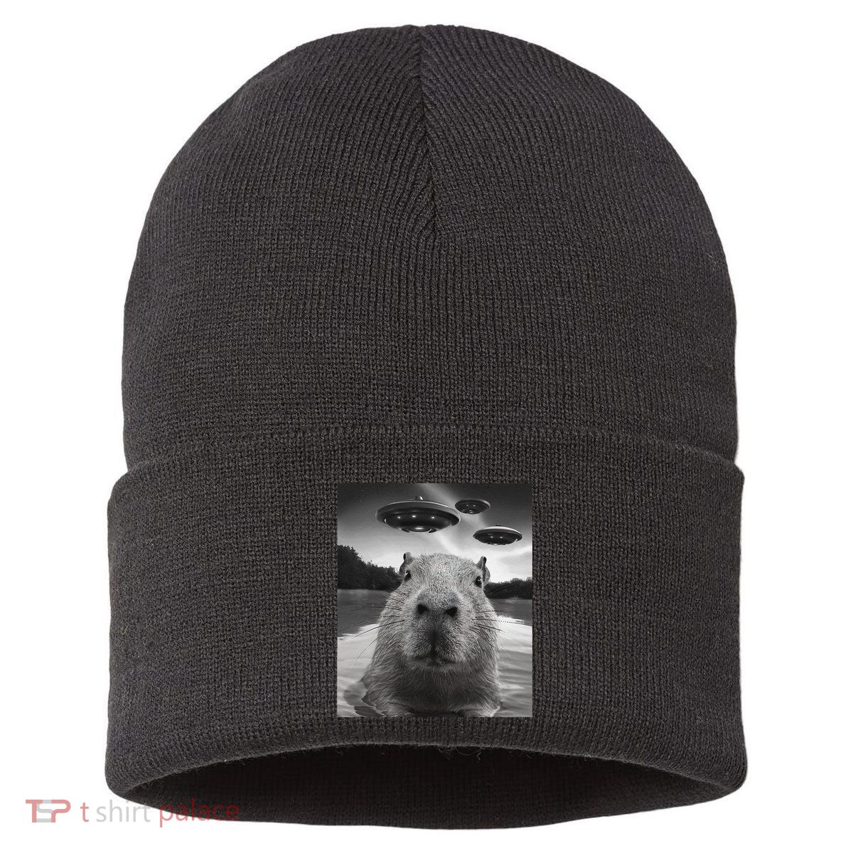 Funny Graphiccapybara Selfie With Ufos Weird Sustainable Knit Beanie
