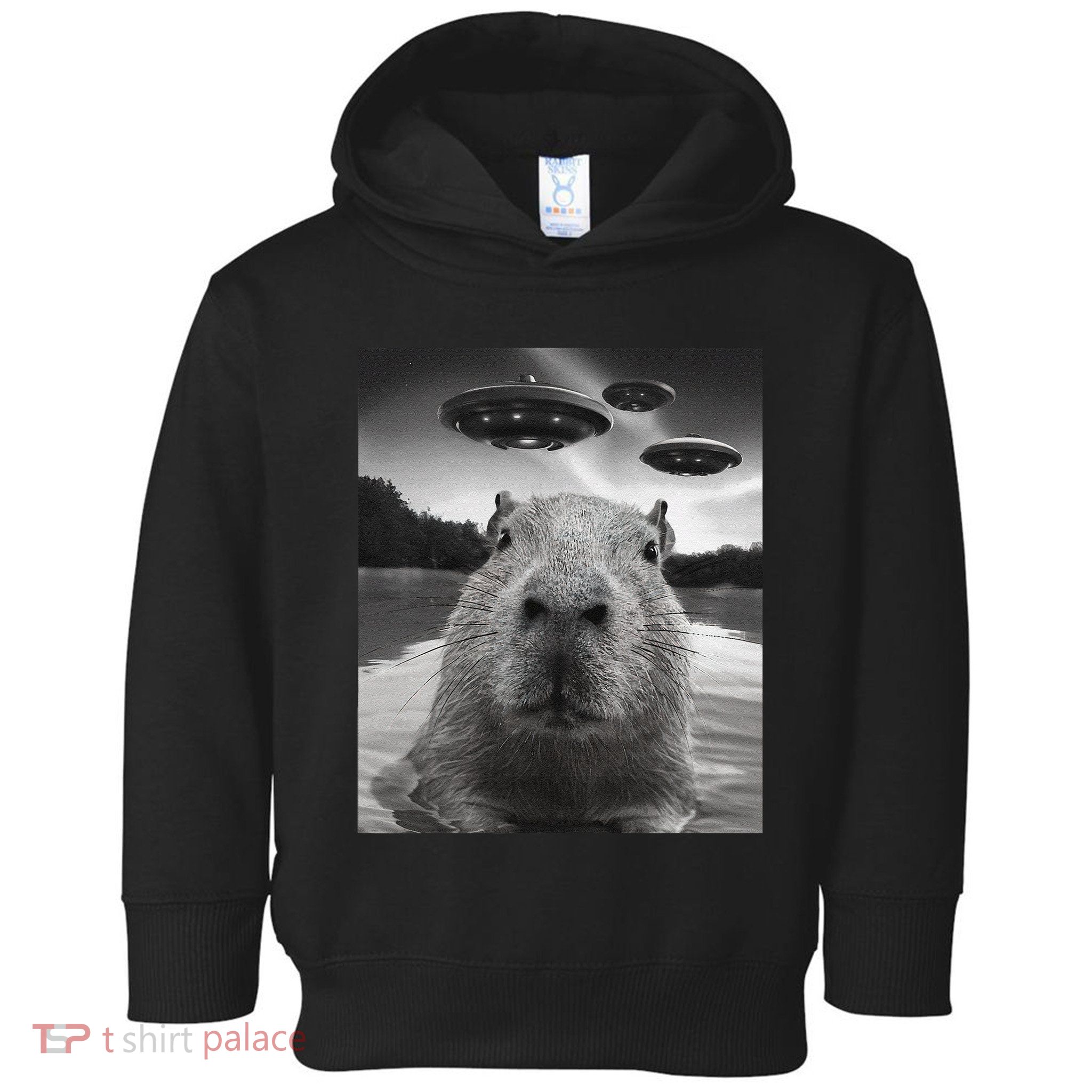 Funny Graphiccapybara Selfie With Ufos Weird Toddler Hoodie
