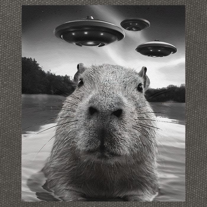 Funny Graphiccapybara Selfie With Ufos Weird Cotton Canvas Backpack