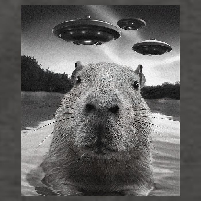 Funny Graphiccapybara Selfie With Ufos Weird Vector Backpack