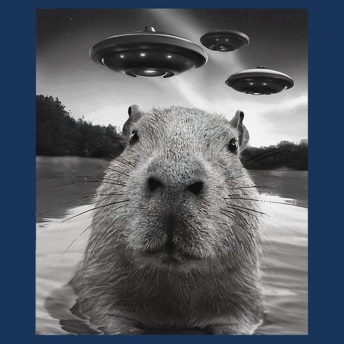 Funny Graphiccapybara Selfie With Ufos Weird Infant Baby Jersey Bodysuit