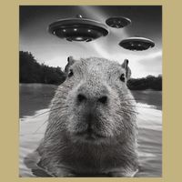 Funny Graphiccapybara Selfie With Ufos Weird Magnet