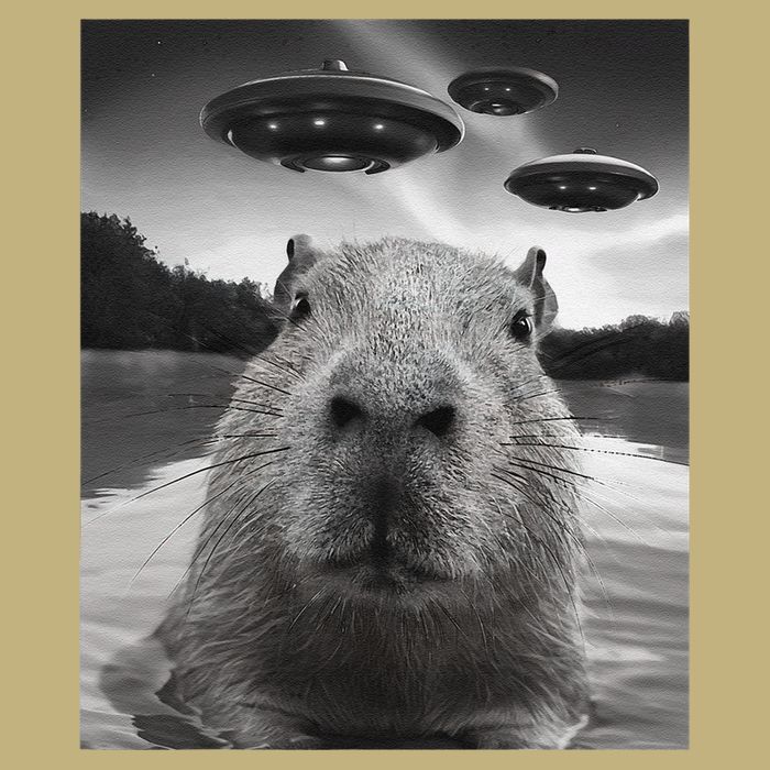 Funny Graphiccapybara Selfie With Ufos Weird Cooling Performance Long Sleeve Crew