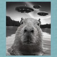 Funny Graphiccapybara Selfie With Ufos Weird Sueded Cloud Jersey T-Shirt