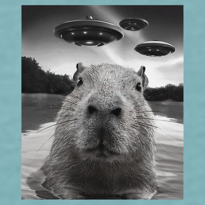 Funny Graphiccapybara Selfie With Ufos Weird Sueded Cloud Jersey T-Shirt
